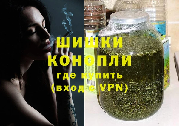 дурь Новодвинск