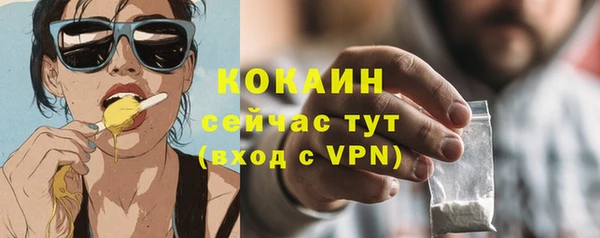 дурь Новодвинск