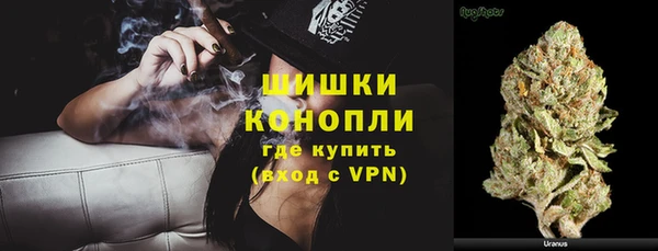 стафф Новокубанск