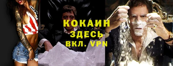 стафф Новокубанск