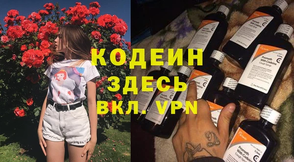 дурь Новодвинск