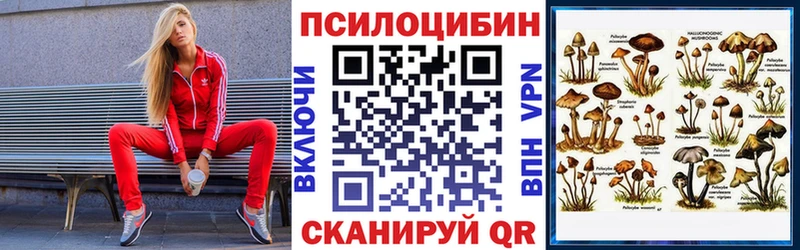 Купить где  Давлеканово  Псилоцибиновые грибы Psilocybine cubensis 